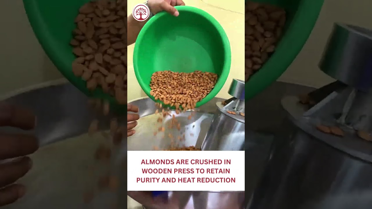 Ivory Natural - Wood Pressed Organic Almond Oil - Premium Extra Virgin Oil - Radiant Skin 