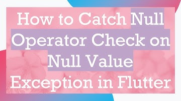 How to Catch Null Operator Check on Null Value Exception in Flutter