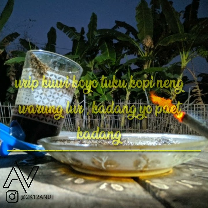 Story wa kopi