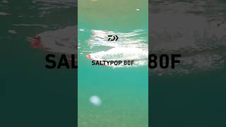 ソルティーポップ　80F｜SALTYPOP　80F　　　 #ダイワ #釣り