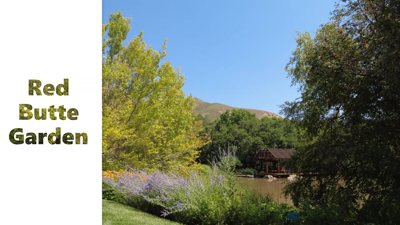 Red Butte Garden Utah