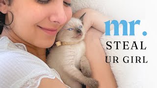 What Fostering Kittens is REALLY Like.. | A Review 👀 by Anna Fosters 810 views 2 weeks ago 19 minutes
