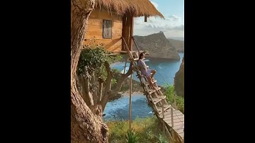 A perfect treehouse in Nusa Penida, Bali, Indonesia #tree #treehouse #penida #bali bali indonesia