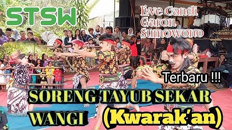 SORENG TAYUB SEKAR WANGI (STSW)| LIVE MERTI DUSUN CANDI GARON SUMOWONO