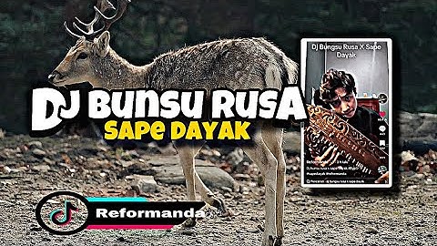 DJ BUNSU RUSA X SAPE DAYAK - REFORMANDA X DJ HAFIDZ VIRAL TIKTOK