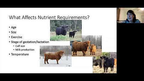 NCHCA Education Hour -  Anne Proctor, Ph.D. - Anim...