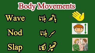 Celebrity Body movements Vocabulary with Urdu meanings🏋️🏋️‍♀️| Action Verbs Vocabulary👃| Net Worth
