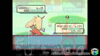 How+to+Cheat+%3a+Sonderbonbons.+Pokemon+rubin%2fsaphir screenshot 5