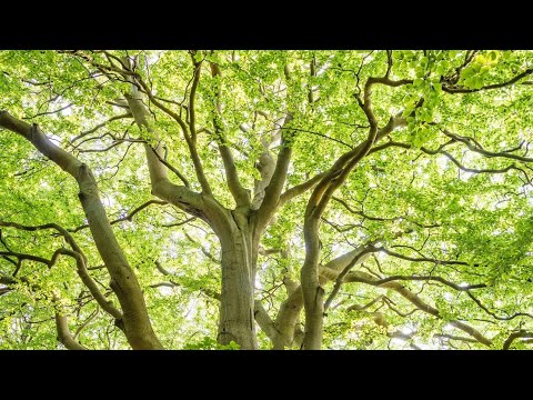 Angni kasara namnik giparang nipachina namnikjaode kema ka.pachina. molmol eng.a.π Angni kasara namnik giparang nipachina namnikjaode kema ka.pachina. molmol eng.a.π