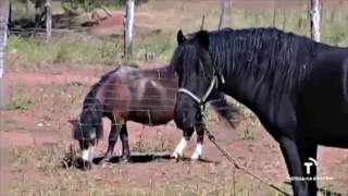 Campamentos de verano - Granja escuela Atalaya