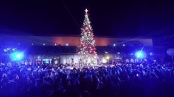 Colby Nordberg Youtube