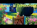 ЖИЗНЬ В ГЕРМАНИИ. ДАЧА В ГЕРМАНИИ. КАК ОТДЫХАЮТ НЕМЦЫ. ДАЧНЫЙ УРОЖАЙ.