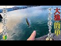 確実に魚が釣れるサビキ釣りの超入門と更に釣果を出すためのワンポンとアドバイス【静岡県焼津港】