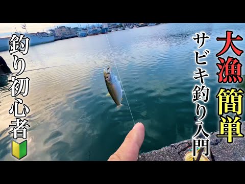 A super-beginner's guide to sabiki fishing, a surefire way to