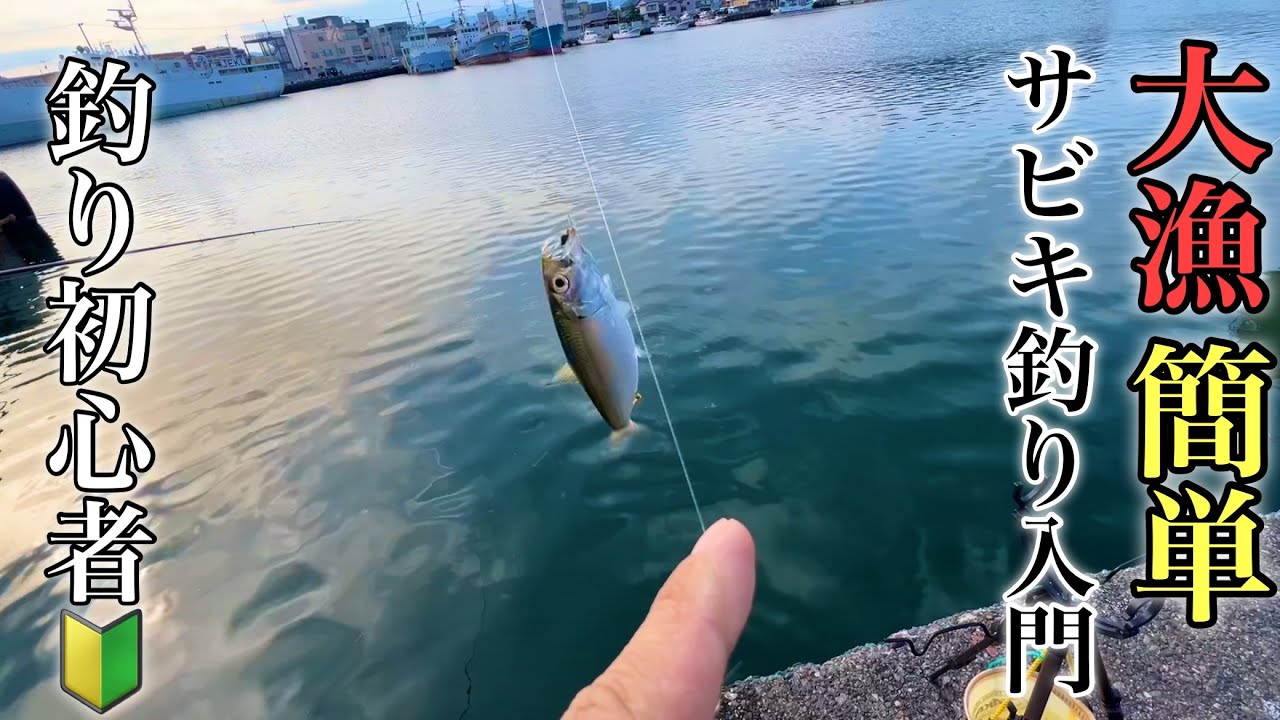 確実に魚が釣れるサビキ釣りの超入門と更に釣果を出すためのワンポンとアドバイス【静岡県焼津港】