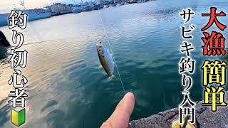 確実に魚が釣れるサビキ釣りの超入門と更に釣果を出すためのワンポンとアドバイス【静岡県焼津港】