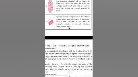Bridge Course General Science Class 8th Activity Sheet No 15