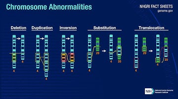 Unraveling Chromosome Abnormalities: A Deep Dive