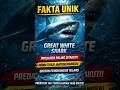 FAKTA UNIK. GREAT WHITE SHARK #faktahewan #faktaunik #hewanlaut #animals #greatwhiteshark