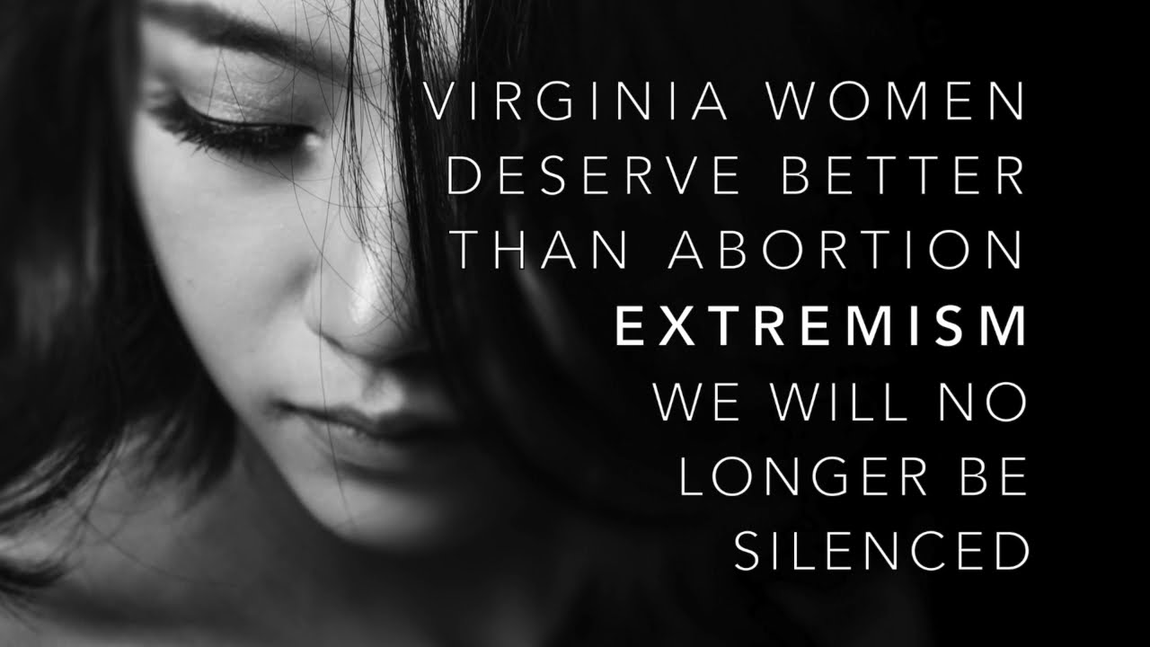Monique Baroudi Testimony To The Northern Virginia Delegation To The 