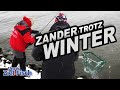 ZANDER BEISST trotz SCHNEE & EIS - RAUBFISCH NORD-OSTSEE-KANAL - Unser Ziel ist Fisch mit Jörg Ovens