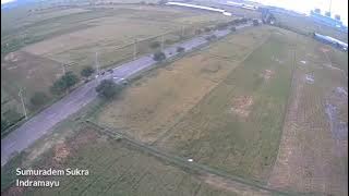 Lihat Pesawahan Desa Sumuradem Dari atas Drone