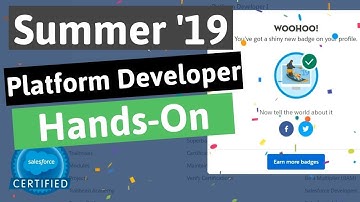 Platform Developer I Certification Maintenance (Summer 