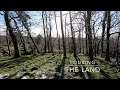 Irish Cottage Renovation - Touring The Land | Altavra Homestead Vlog 3