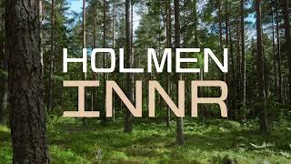 Holmen INNR - Changing the market from within