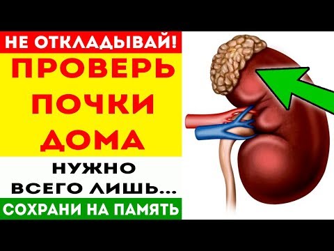 Чтобы проверить почки самому (в домашних условиях), нужно просто... Про здоровье