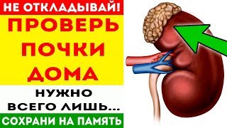 Чтобы проверить почки самому (в домашних условиях), нужно просто... Про здоровье