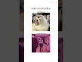 Bas pov moi... #music #cat #like #subscribe #makethisviral #foryou #fortoupage