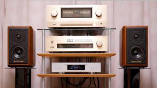 Sonus faber Minima Vintage, Accuphase E-600, LINN Akurate DS, ムソグルスキー/展覧会の絵【空気録音】