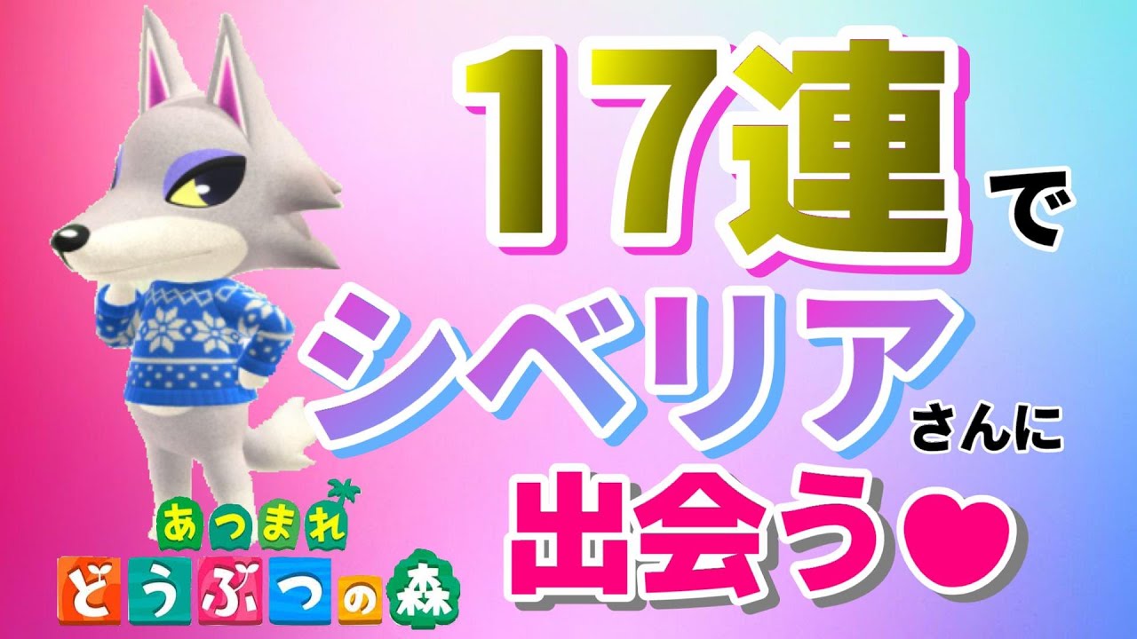あつ森】住民厳選！離島ガチャ！17連でまさかのシベリアさんに出会う