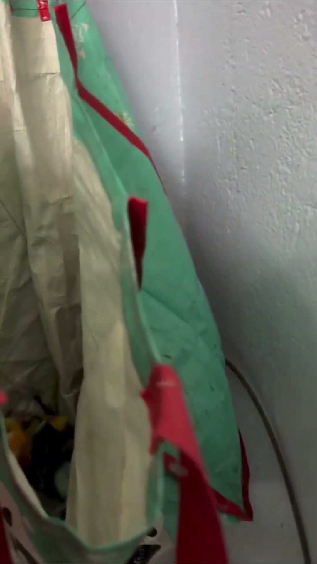 What’s in the Bag?