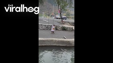 Four-Year-Old Girl Catches Big Fish || ViralHog