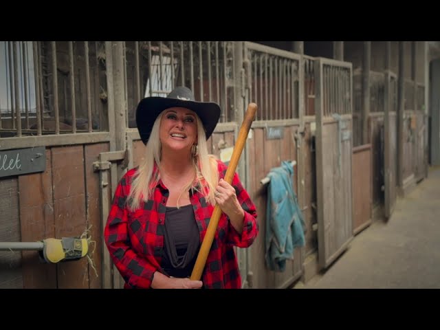 Nieuwe single Sylvia Smit “Working girl”