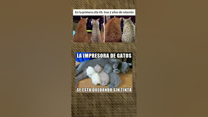 Meme de gatos graciosos. Mas memes en mi perfil y a ver si llego a 2k suscriptors!!