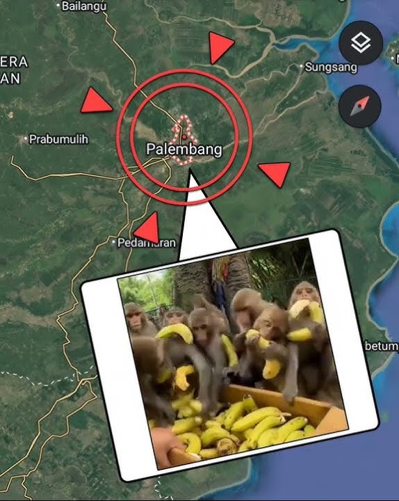 1 kata buat Palembang= rakus , hama , orang kelaparan 🤣🤪🤣🤣🤣🤣🤣😂😂