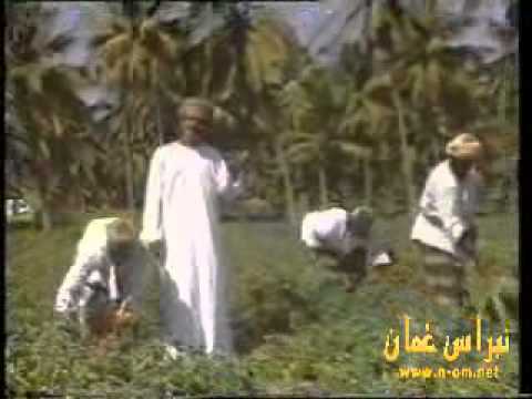 يا مزارع سالم علي سعيد