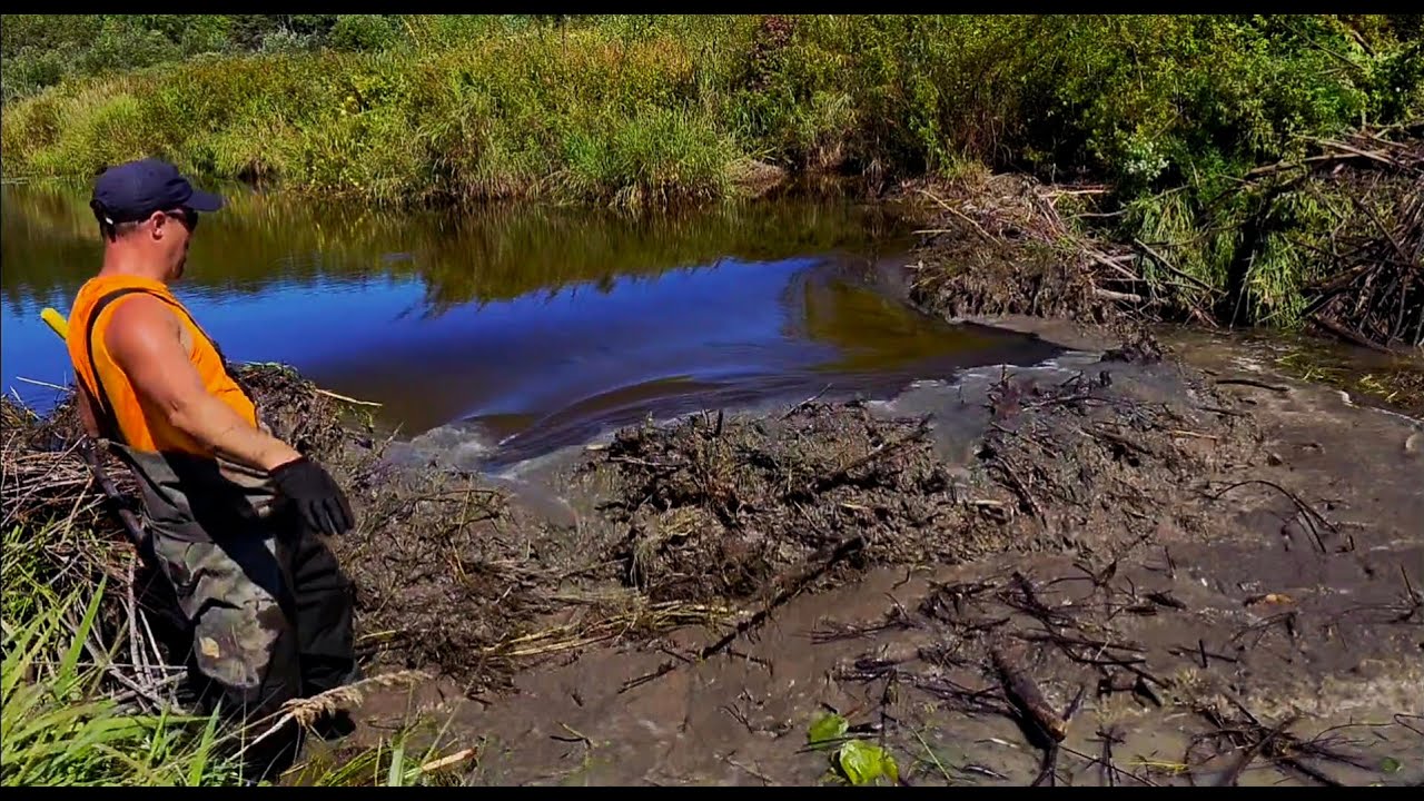 Beaver Dam Collapse