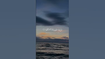 {فَمَا ظَنُّكُم بِرَبِّ ٱلْعَـٰلَمِينَ} بصوت القارئ صلاح الباجي