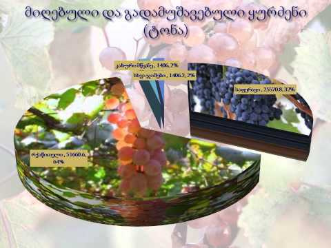 ძირითადი ტენდენციები სოფლის მეურნეობაში 2013 წლის პირველი ნახევრის მდგომარეობით