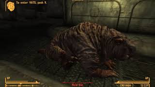 Fallout: Tale of Two Wastelands - Winter Break! :D