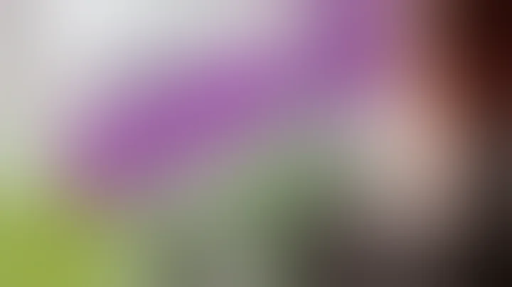 Growing Autoflowers Week 1-6, Starting, Training, Topping! Ep1