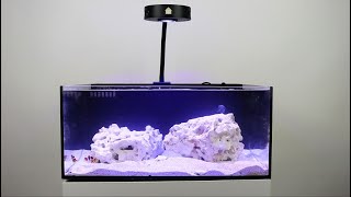 Reef Casa Saltwater Aquarium Kit Set Up Guide