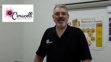 Beekeeping Basics with Bruce Clow - Round Comb Honey System.