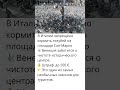 🕊 Нельзя кормить голубей💥 Безобидное занятие, которое в некоторых местах считается нарушением закона
