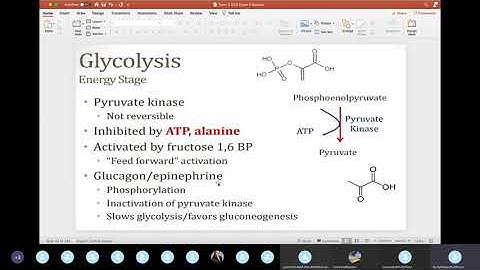 Term 2 Exam 2 Exam Review - Biochemistry