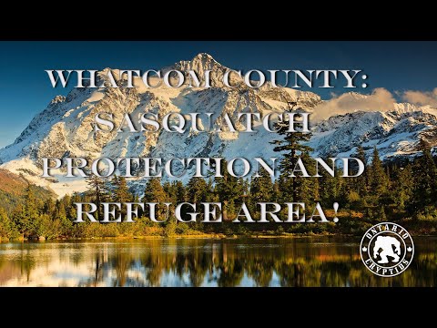 Whatcom County Proclaimed Sasquatch Protection And Refuge Area!